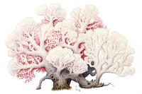 Bleached coral undersea outdoors, digital paint illustration. AI generated image