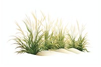 Grass outdoors nature plant. AI generated Image by rawpixel.