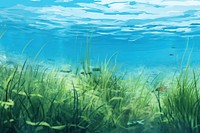 Grass backgrounds underwater outdoors. 