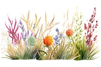 Plant grass outdoors flower. AI generated Image by rawpixel.