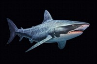 Shark underwater swimming animal, digital paint illustration. AI generated image