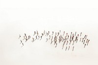 Flock bird panoramic wildlife. AI generated Image by rawpixel.