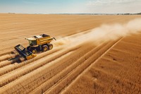 Farm landscape outdoors tractor. 