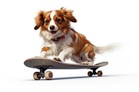 Skateboard dog mammal animal. 