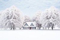 Snow tree architecture building. 