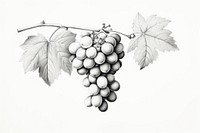 Grapes drawing plant refreshment. AI generated Image by rawpixel.