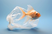 Fish goldfish plastic animal. AI generated Image by rawpixel.