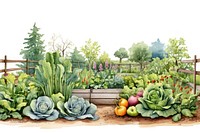 Vegetable garden outdoors nature. 