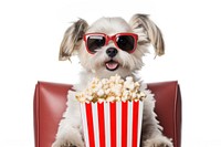 Glasses popcorn dog mammal. AI generated Image by rawpixel.