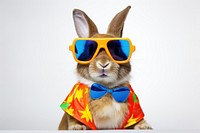 Sunglasses mammal animal rabbit. AI generated Image by rawpixel.
