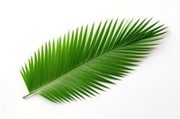 Green leaf plant tree. AI generated Image by rawpixel.