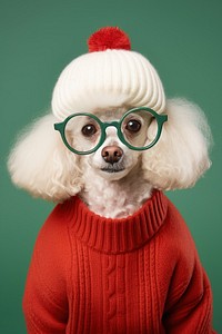 Portrait glasses poodle dog. AI generated Image by rawpixel.