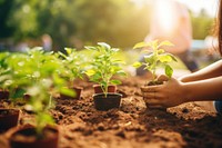 Planting garden gardening outdoors. 