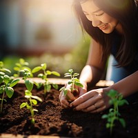 Planting garden gardening outdoors. 