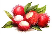 Rambutan fruit plant food. AI generated Image by rawpixel.