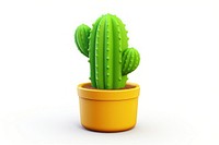 Cactus plant white background houseplant. 