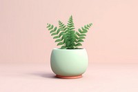 Plant vase leaf fern. 