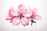 Blossom flower cherry petal. AI generated Image by rawpixel.