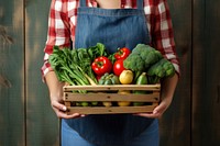 Vegetable holding basket adult. 