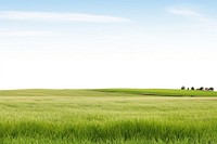 Landscape field grassland outdoors. 