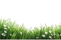 Flower grass grassland outdoors. AI generated Image by rawpixel.