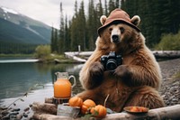 Camera bear wildlife outdoors. 