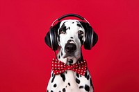 Headphones dog dalmatian headset. AI generated Image by rawpixel.