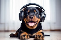 Headphones puppy rottweiler headset. AI generated Image by rawpixel.