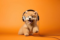 Puppy headphones mammal animal. 