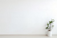 Wall architecture plant white. AI generated Image by rawpixel.