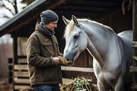 Horse outdoors mammal animal. 