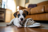 Puppy shoe footwear animal. AI generated Image by rawpixel.