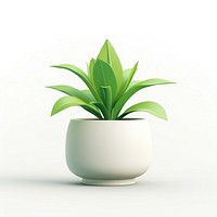 Plant houseplant leaf vase. 