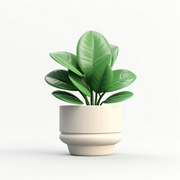 Plant houseplant leaf vase. 