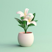 Lily flower plant vase. 