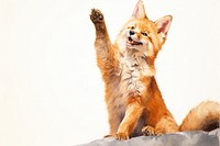Animal mammal fox pet. 
