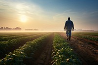 Walking field sky agriculture. 