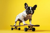 Skateboard bulldog animal mammal. AI generated Image by rawpixel.