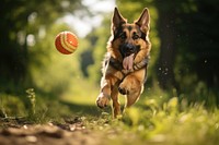 Dog running animal mammal. AI generated Image by rawpixel.