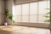 Sunlight curtain window blinds. 