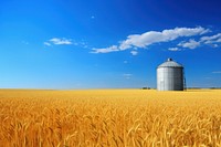 Field sky agriculture landscape. 