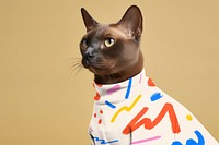 Cat turtleneck t-shirt mockup, pet outfit psd