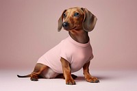 Dog t-shirt mockup, pet outfit psd