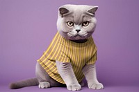 Cat t-shirt mockup, pet outfit psd