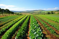 Plant farm agriculture outdoors. AI generated Image by rawpixel.