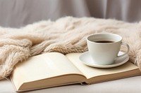 Book mug publication blanket. 