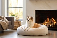 Fireplace pet mammal animal. AI generated Image by rawpixel.