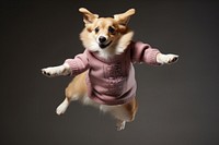 Dog sweater mammal animal. AI generated Image by rawpixel.