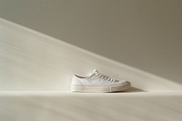 Footwear sneaker white shoe.