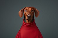 Dog pet portrait fashion. AI generated Image by rawpixel.